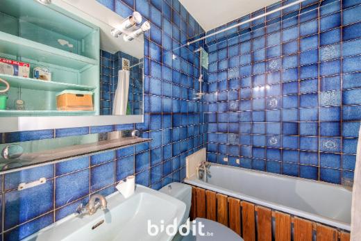 Première photo alternative du bien