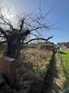 Troisième photo alternative du bien