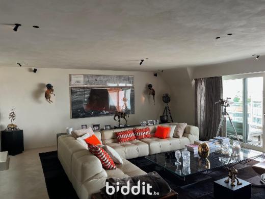 Image de présentation du bien n° 292113