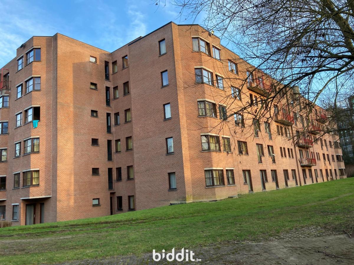 Image de présentation du bien n° 294442