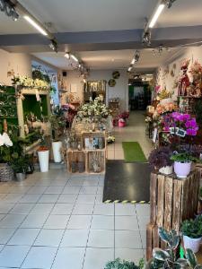 Troisième photo alternative du bien