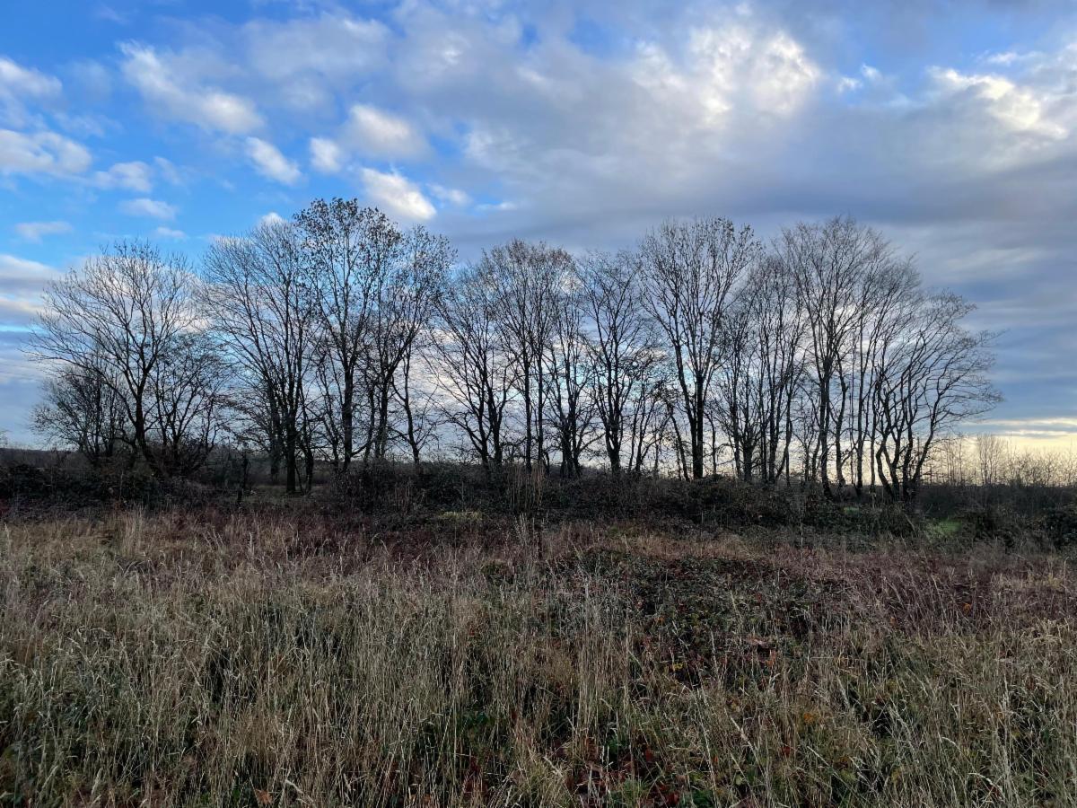 Image de présentation du bien n° 292643