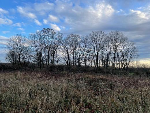 Image de présentation du bien n° 292643