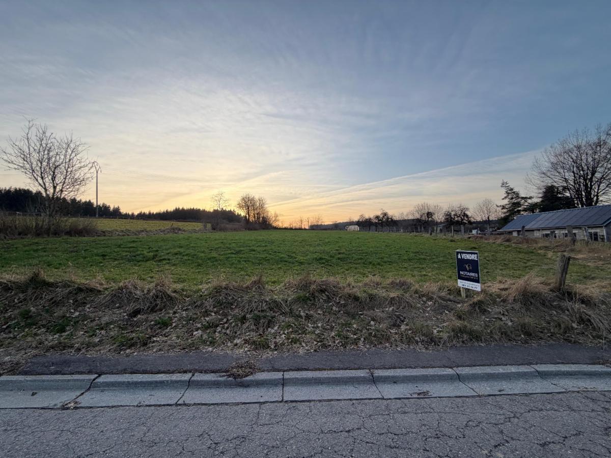 Image de présentation du bien n° 295673