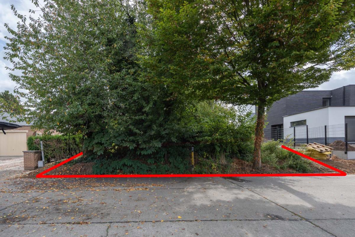Image de présentation du bien n° 302567