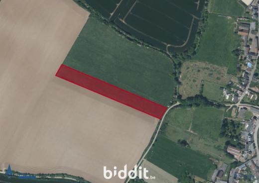 Image de présentation du bien n° 300342