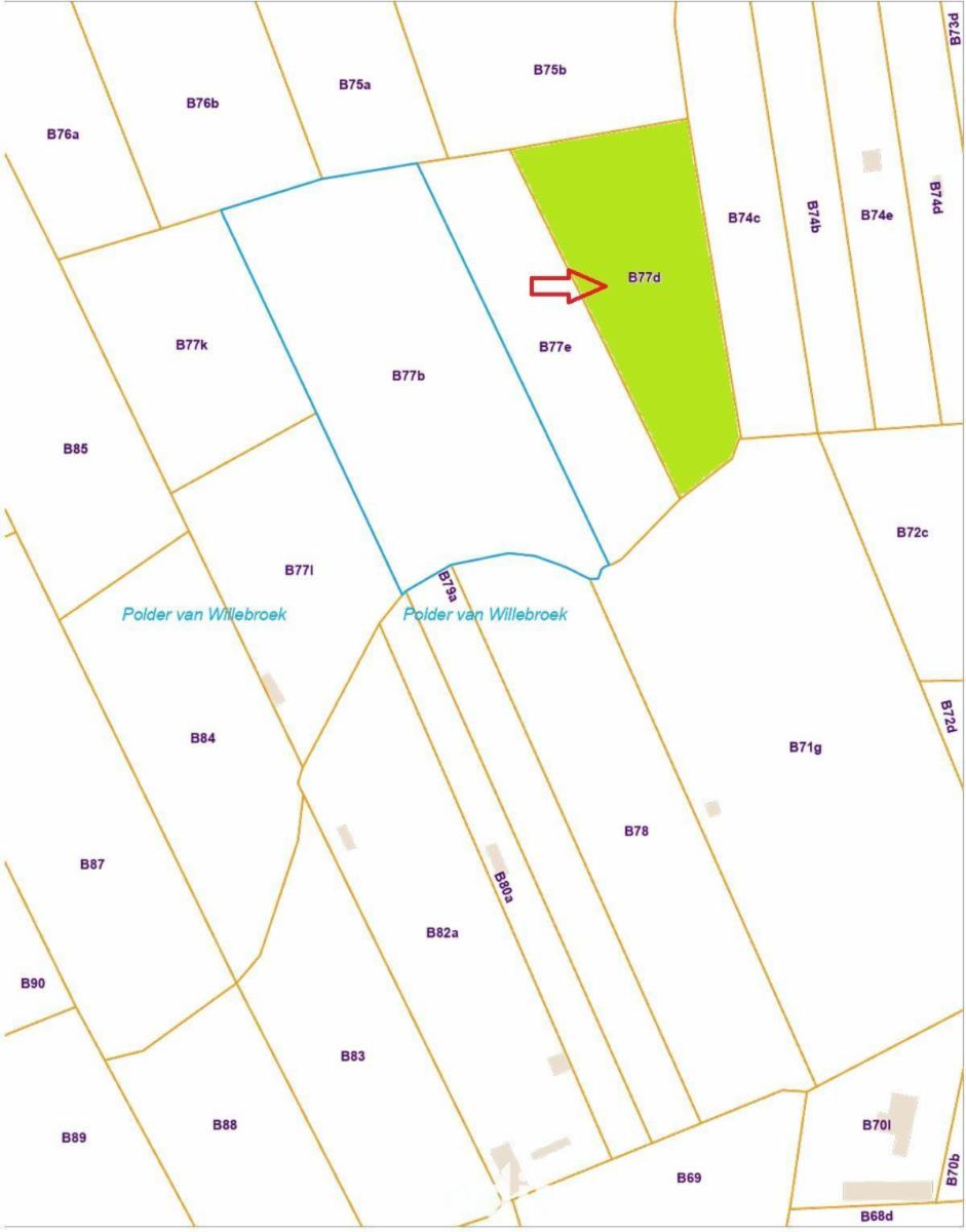 Image de présentation du bien n° 294674