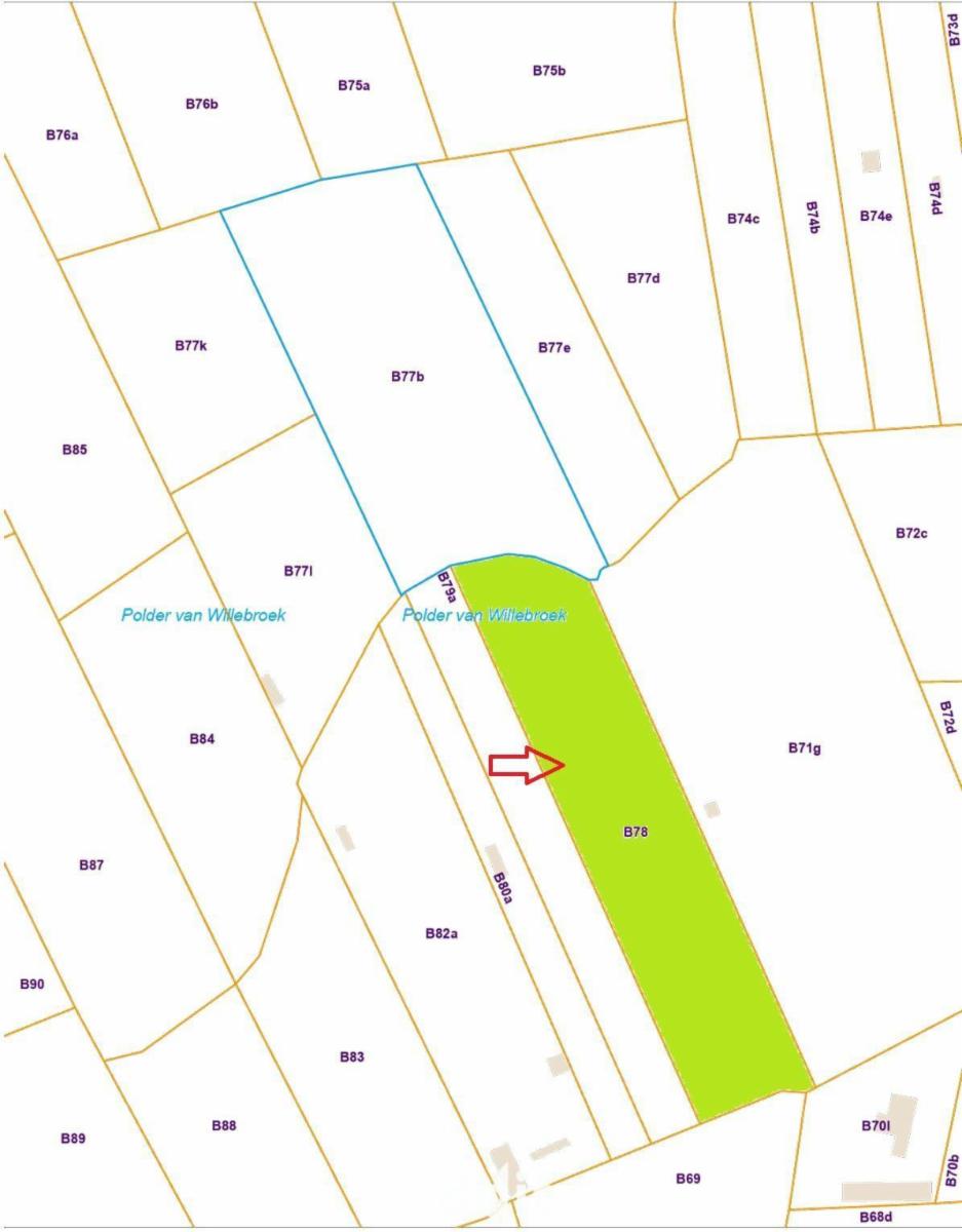 Image de présentation du bien n° 294681