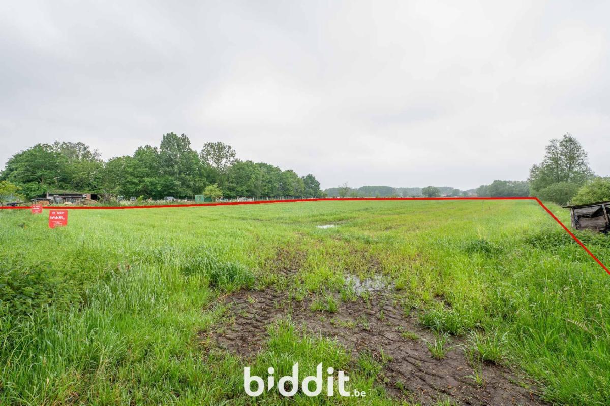 Image de présentation du bien n° 294681