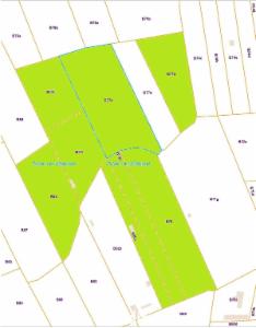 Image de présentation du bien n° 294687