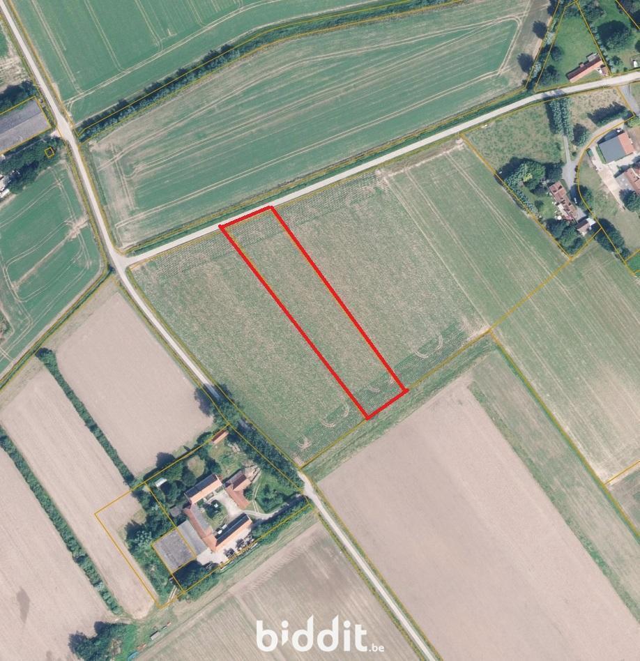 Image de présentation du bien n° 294098