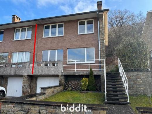 Image de présentation du bien n° 292952