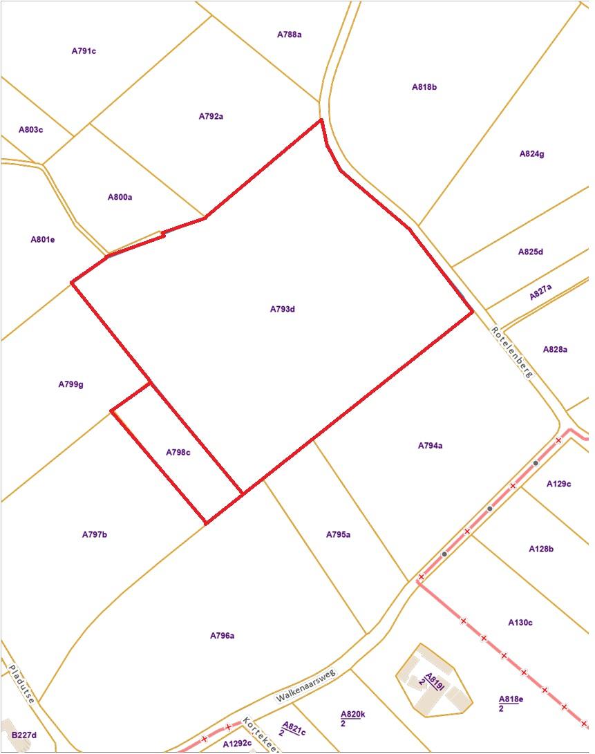 Image de présentation du bien n° 303247