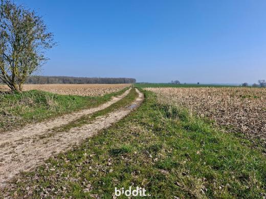 Troisième photo alternative du bien