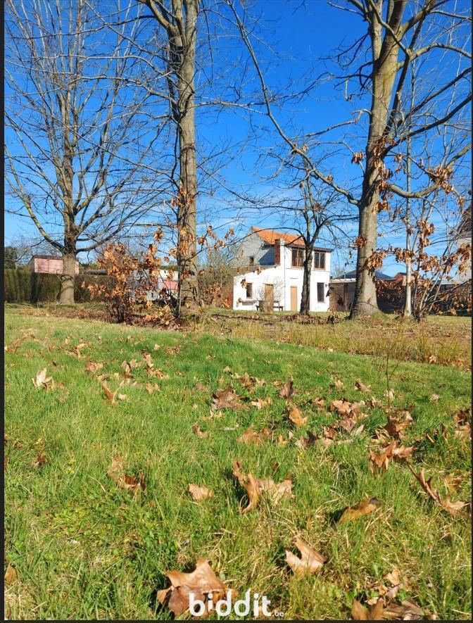 Image de présentation du bien n° 294454