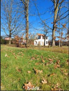 Image de présentation du bien n° 294454