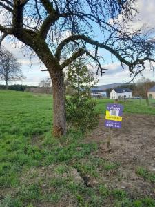 Troisième photo alternative du bien