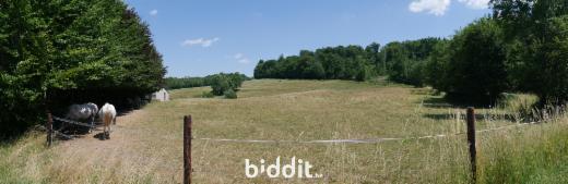 Première photo alternative du bien