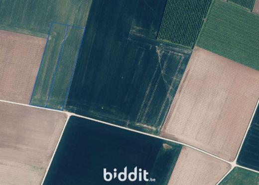 Première photo alternative du bien