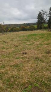 Troisième photo alternative du bien