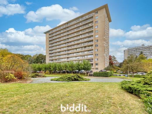 Image de présentation du bien n° 287952