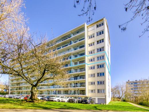 Image de présentation du bien n° 294048