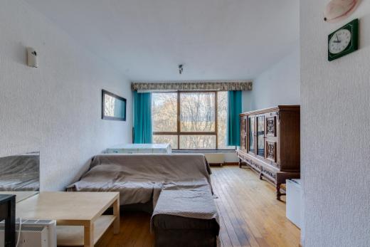 Troisième photo alternative du bien