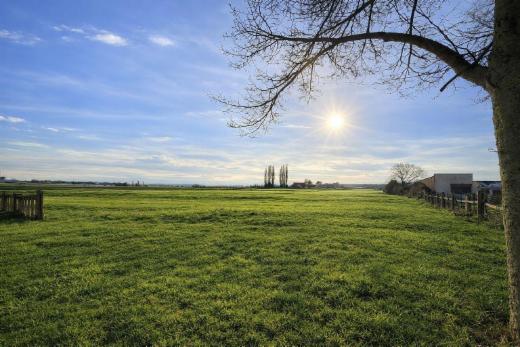 Première photo alternative du bien