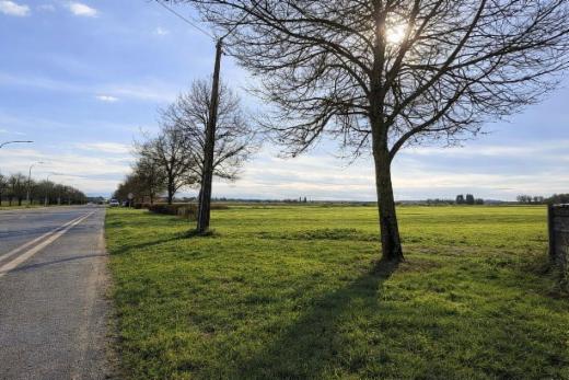 Troisième photo alternative du bien