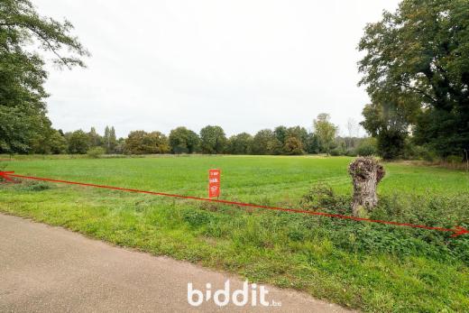 Image de présentation du bien n° 294162