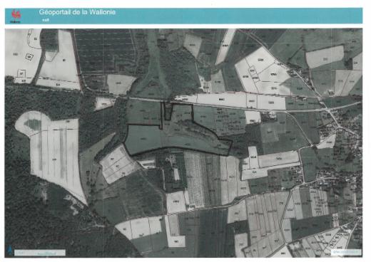 Image de présentation du bien n° 297181