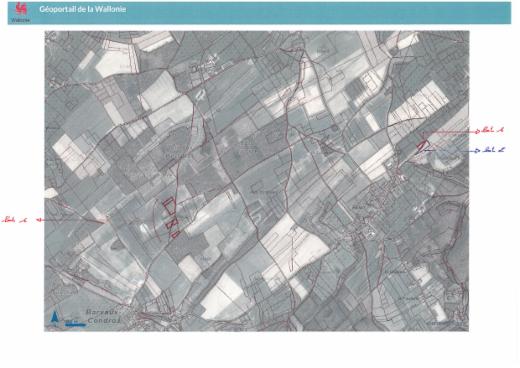 Image de présentation du bien n° 303080