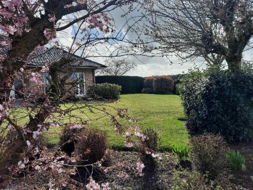 Seconde photo alternative du bien