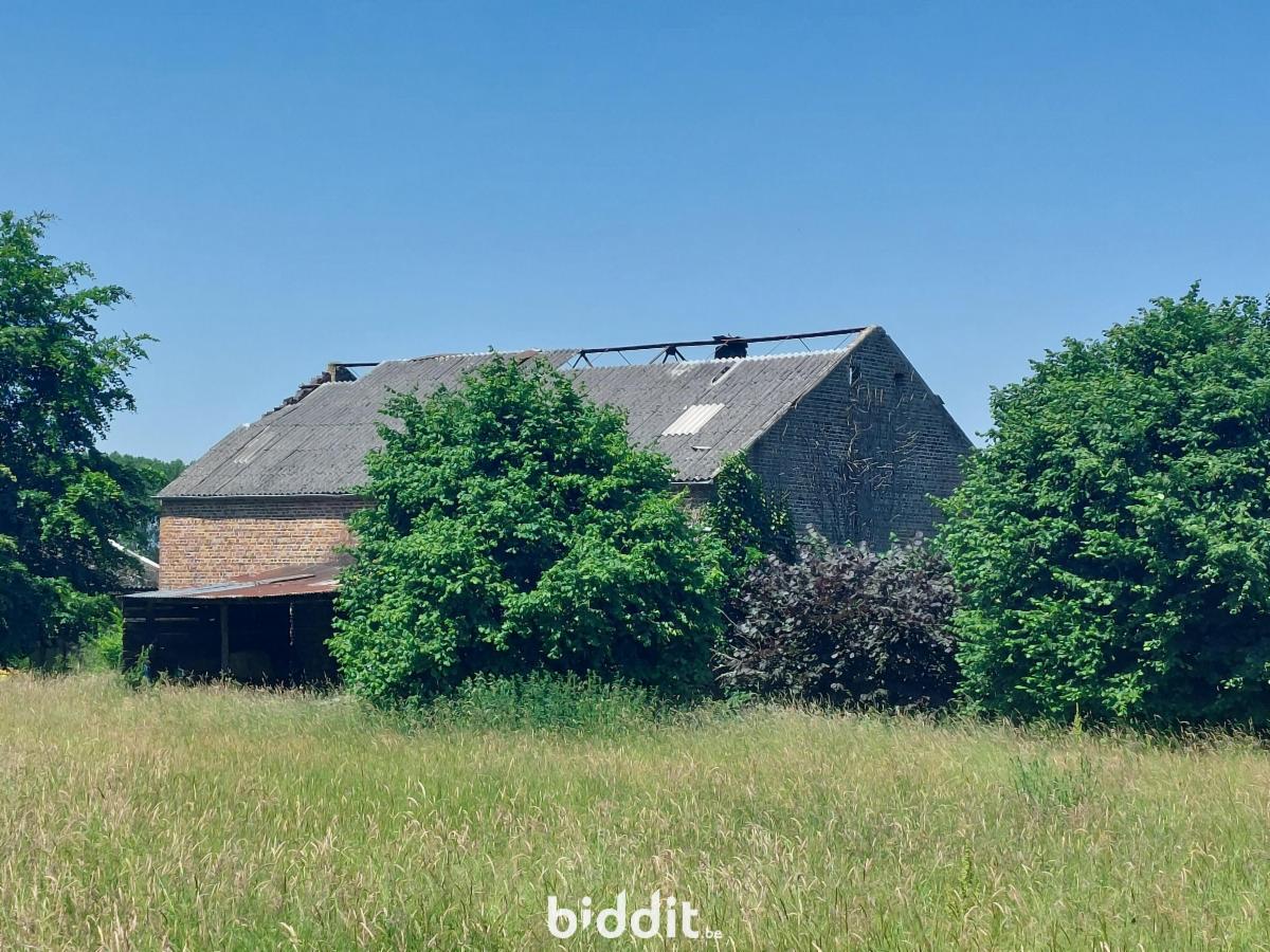 Image de présentation du bien n° 299524