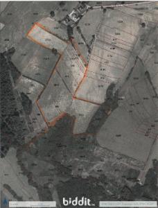 Image de présentation du bien n° 282816