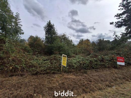 Première photo alternative du bien