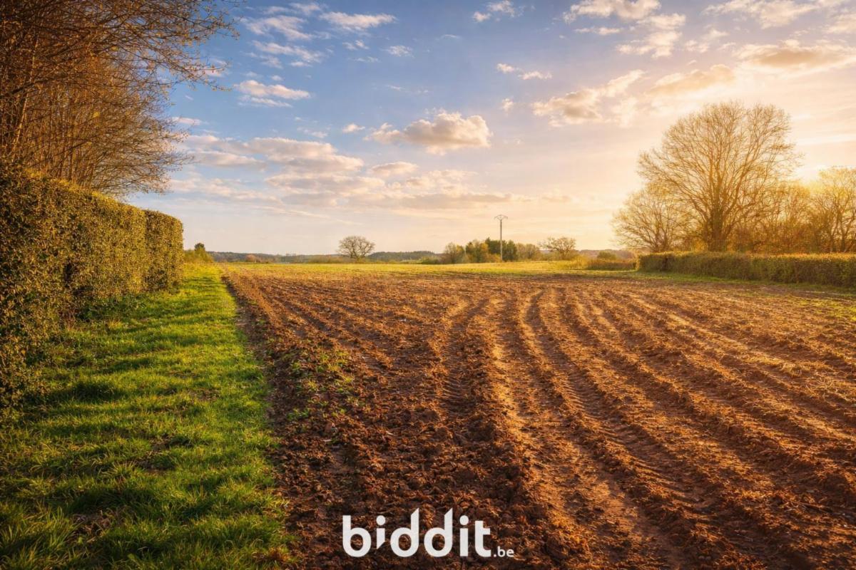 Image de présentation du bien n° 293278