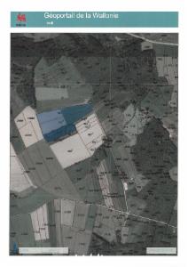 Image de présentation du bien n° 293286