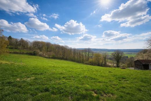 Première photo alternative du bien