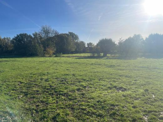 Image de présentation du bien n° 288480