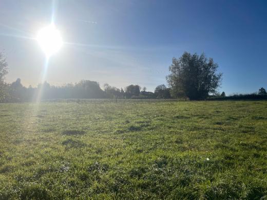 Image de présentation du bien n° 289552