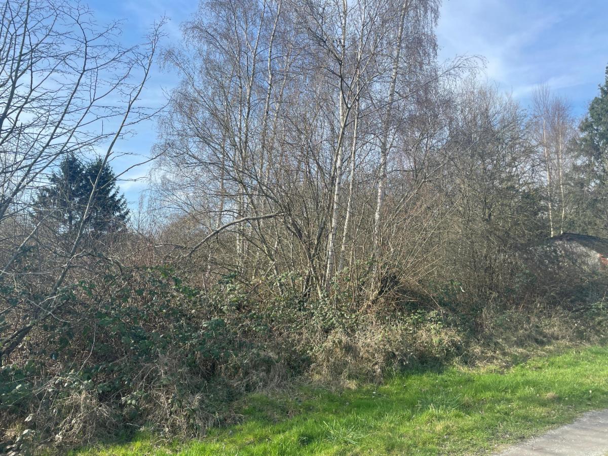 Image de présentation du bien n° 293481