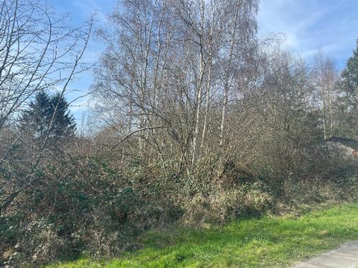 Image de présentation du bien n° 293481