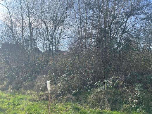 Première photo alternative du bien