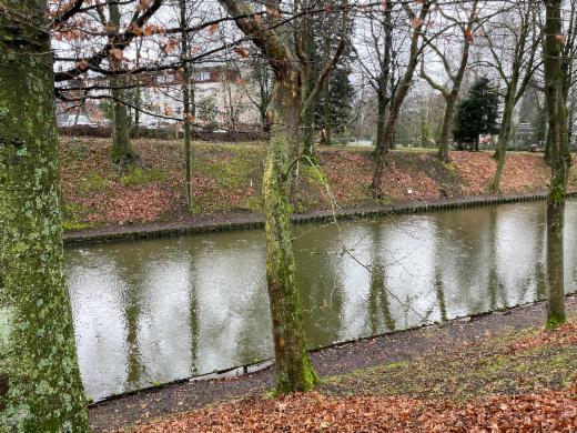 Première photo alternative du bien