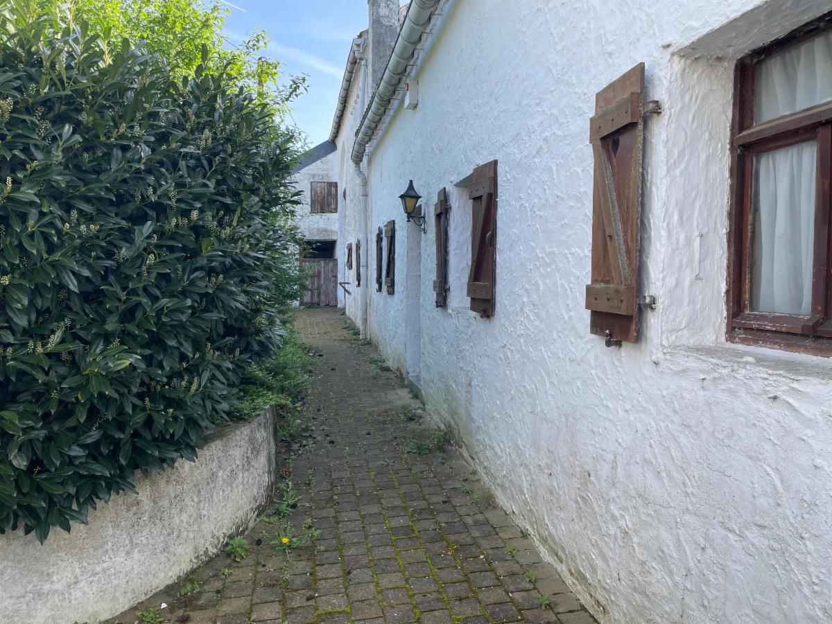 Image de présentation du bien n° 295149