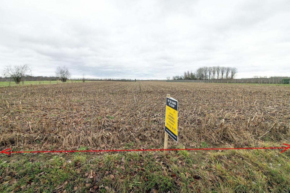 Image de présentation du bien n° 291456