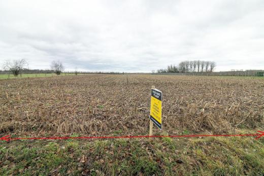 Image de présentation du bien n° 291456