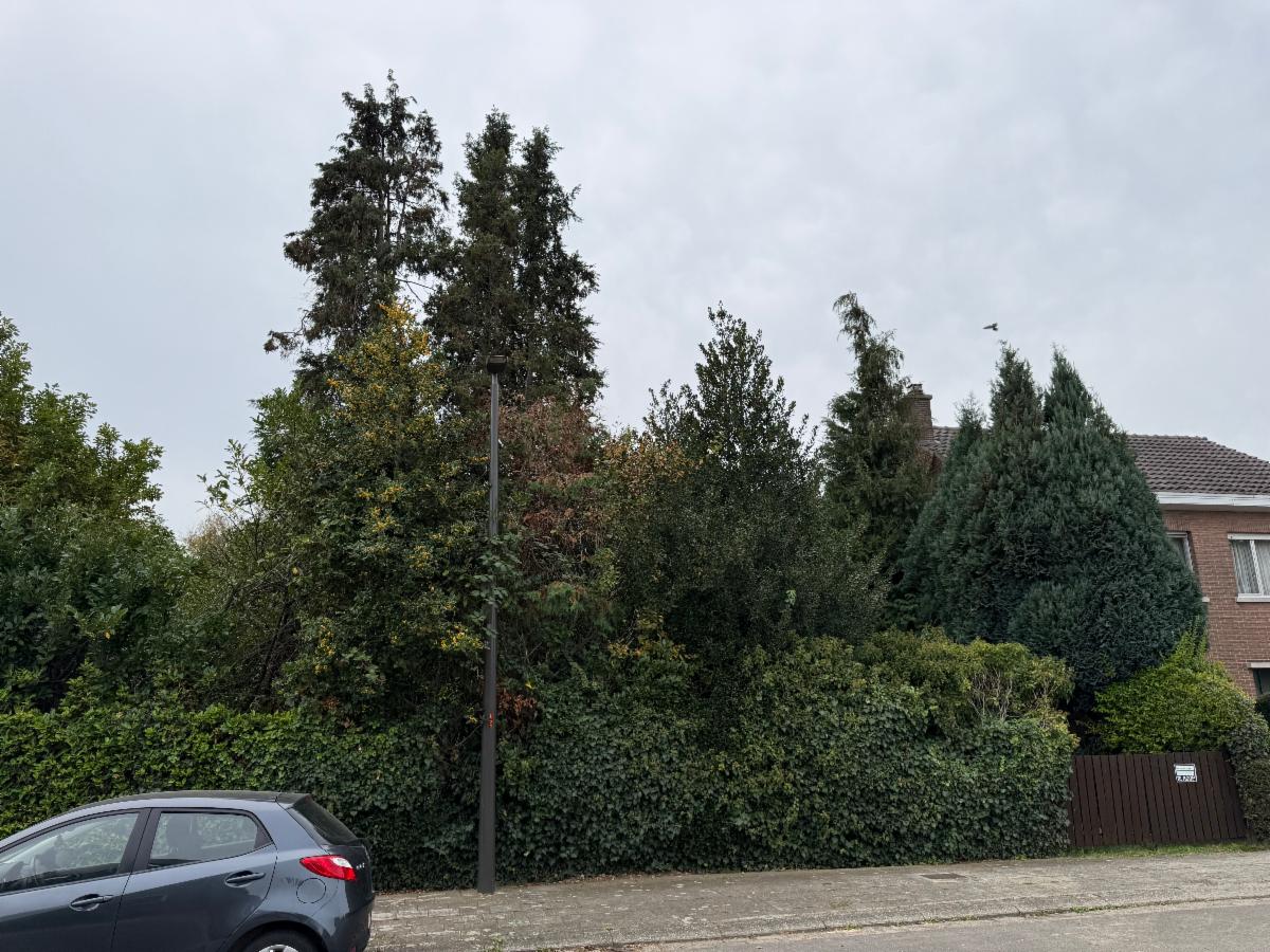 Image de présentation du bien n° 303205