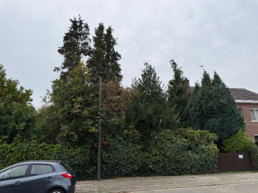 Image de présentation du bien n° 303205